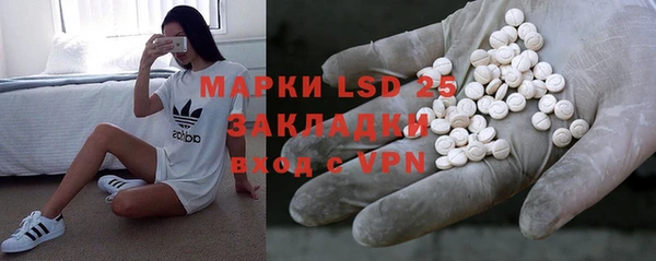 PSILOCYBIN Волосово