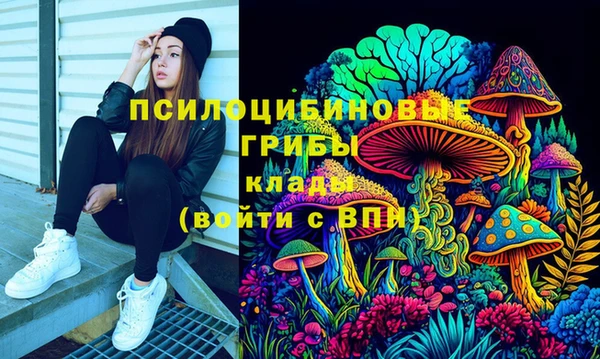PSILOCYBIN Волосово