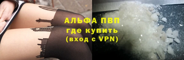 PSILOCYBIN Волосово